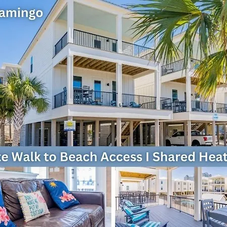 Fancy Flamingo By Youngs Suncoast-2